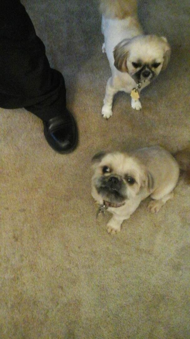 doris & molly