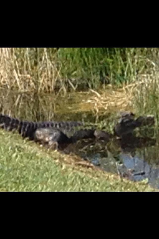 Taking a stroll on a beautiful day at Green Cay.