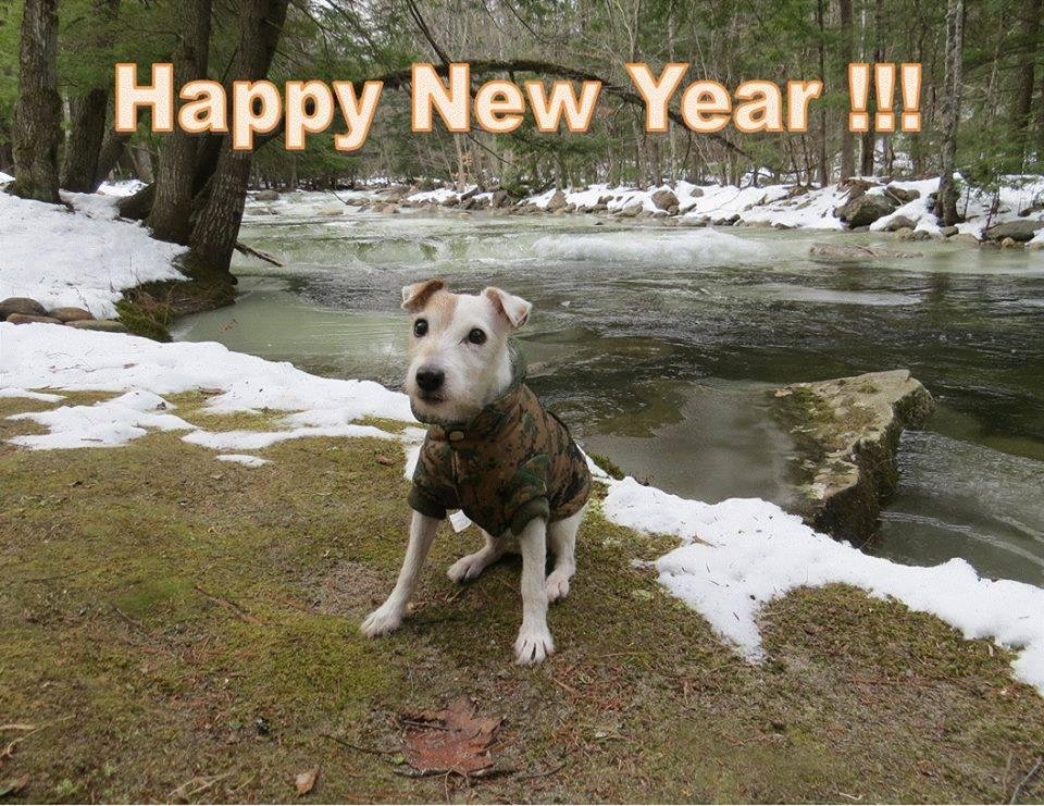 Pam Canfield's album, Timeline Photos