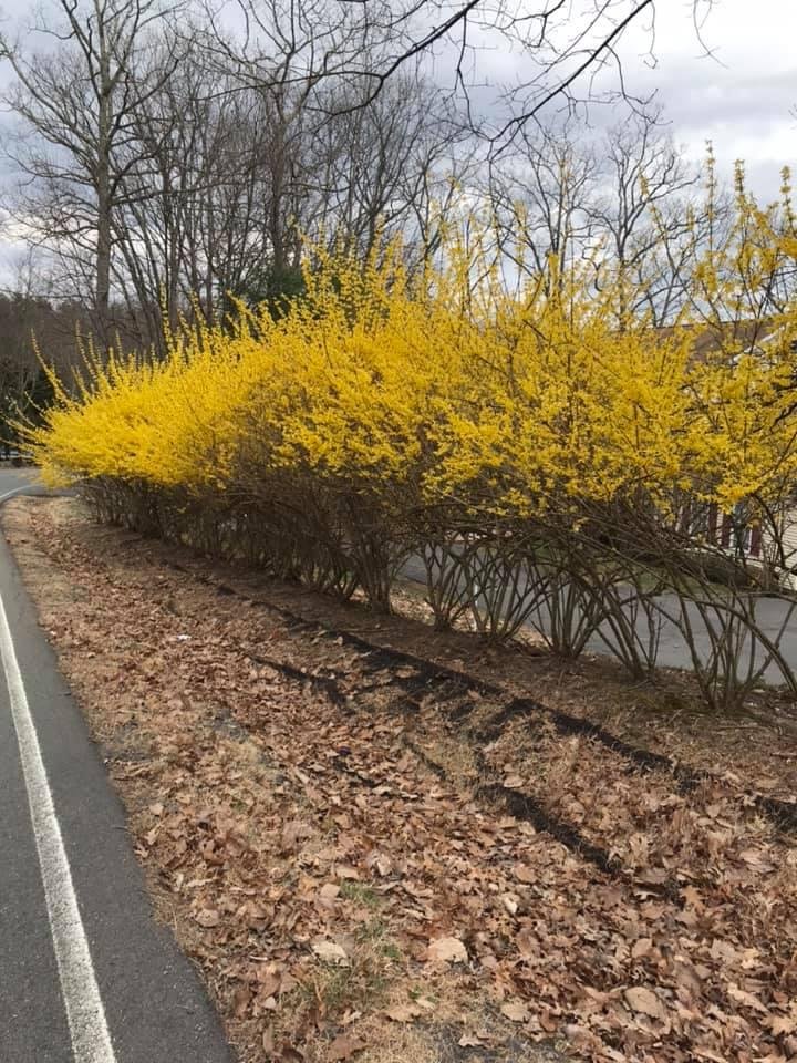 Spring is here😃