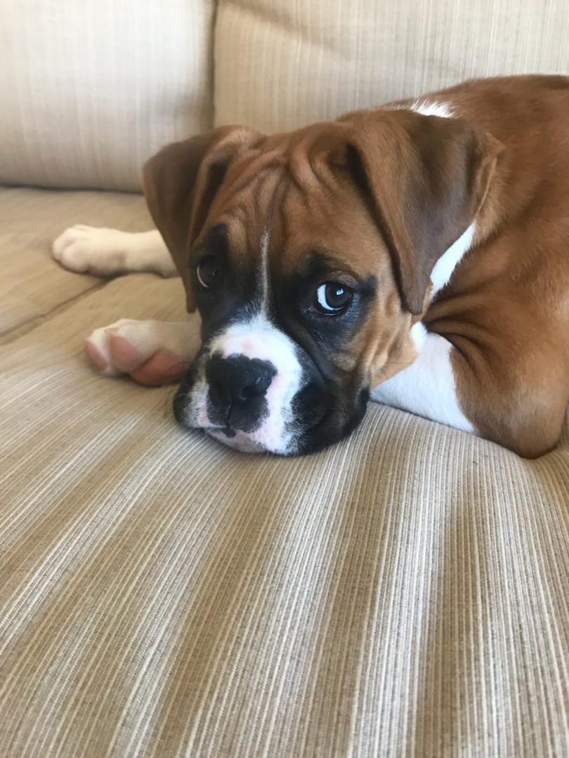 Our sweet girl