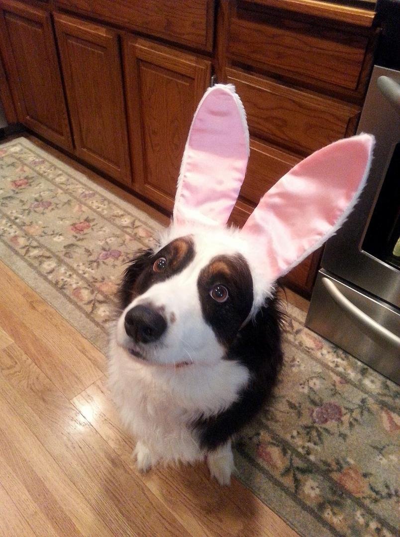 Happy Easter everyone 😍