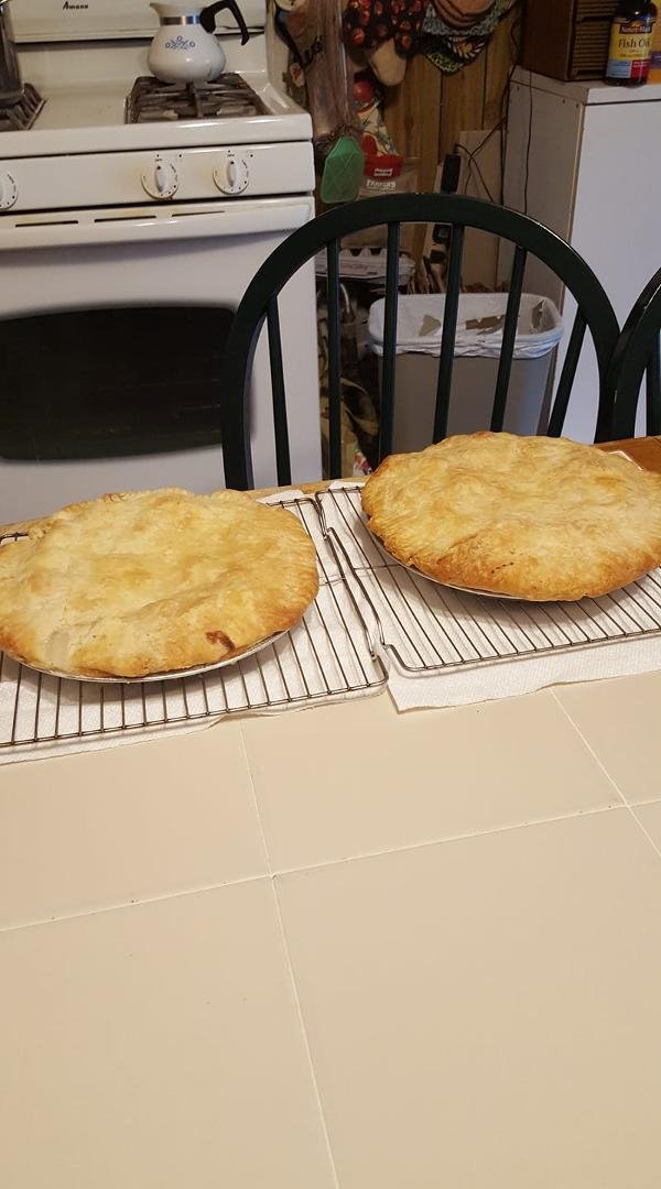 Rhubarb pies.