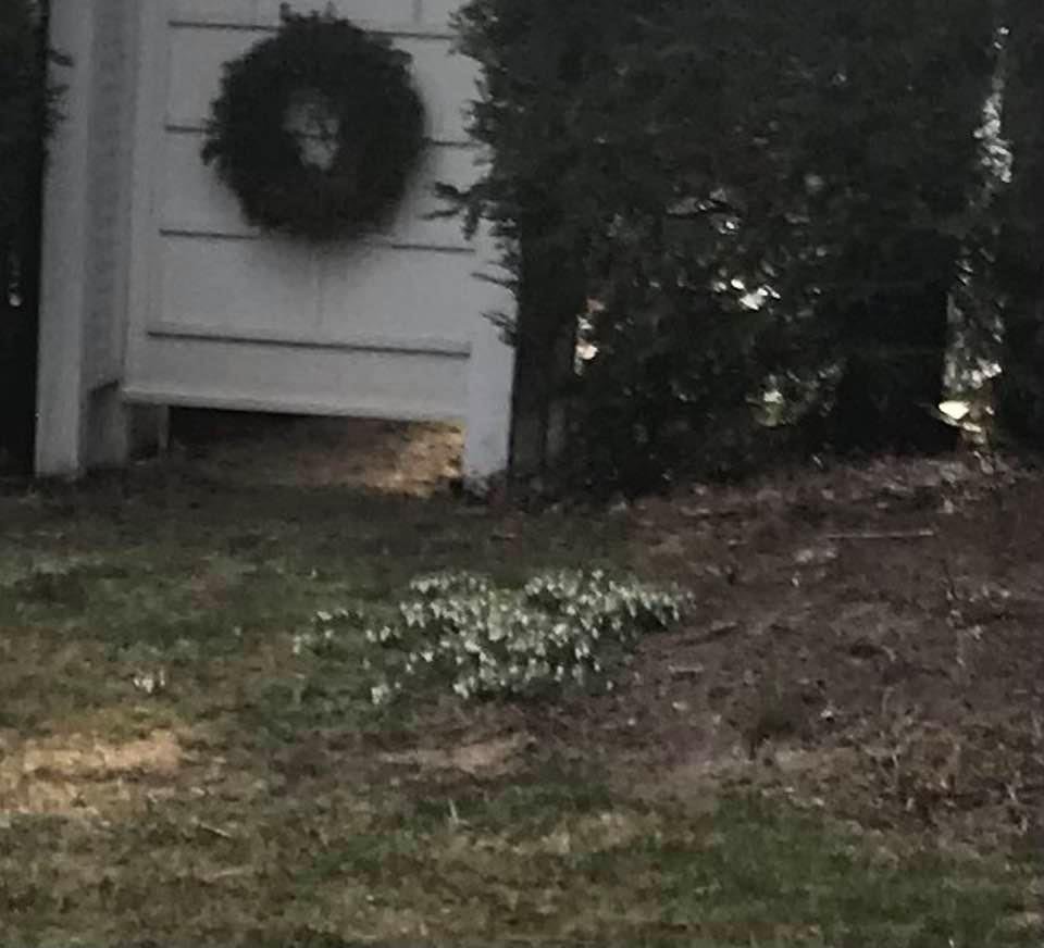 Nancy Blatz's album, Timeline Photos
