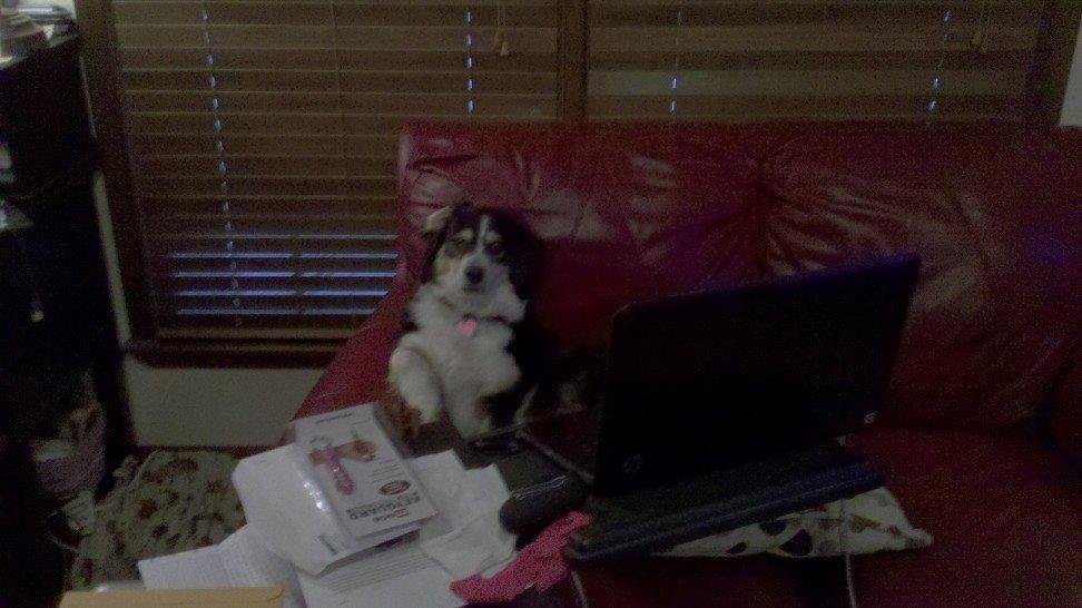 Zoe on Danielle's computer.