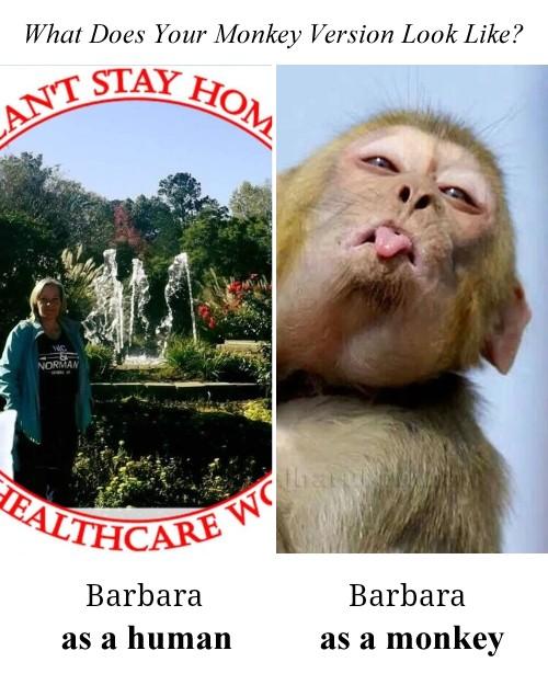 Barbara Marshall's album, Mobile uploads