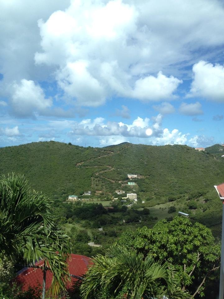 A very windy road we traveled in Tortola! Yikes!