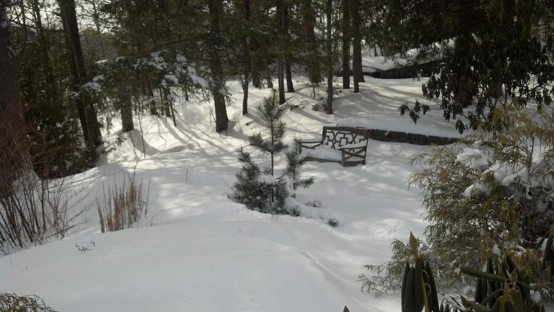 Nice place to sit and look at the river (when there is no snow up to the seat! LOL)