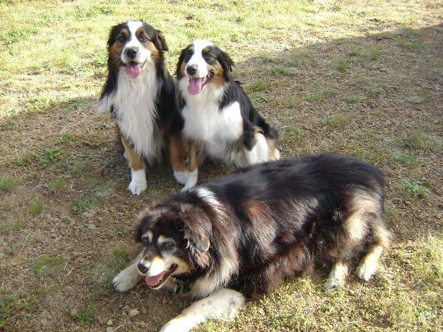Ann Czubachowski's album, Timeline photos