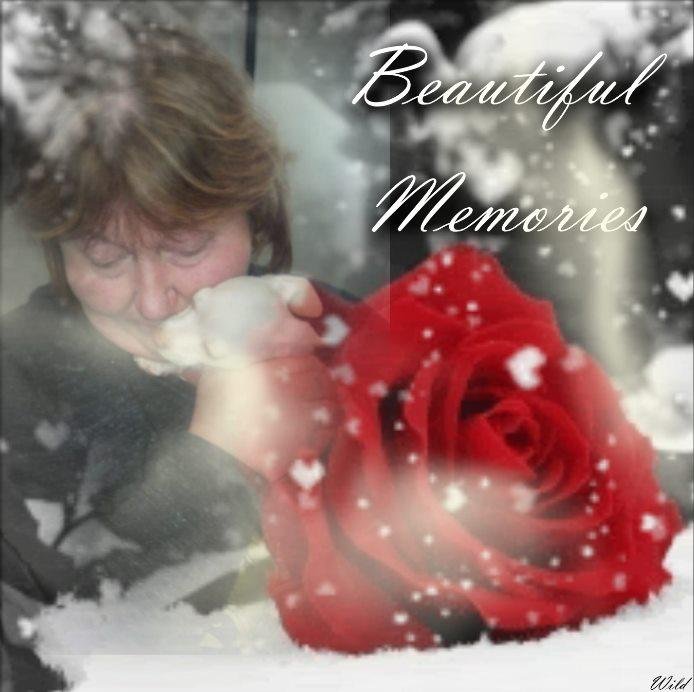BEAUTIFUL MEMORY OF THE DAY Theresa Hilton RESCUED MISS ISABELLA.