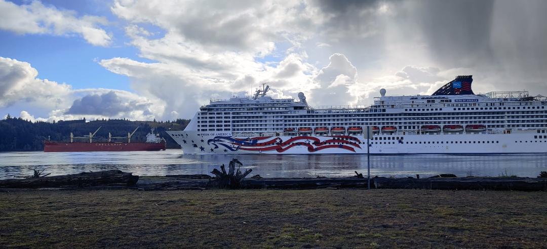 Just hanging out at Willow Grove today, staring at this ship and watching the seals play then this huge cruise liner rolls by. Good picture of both.