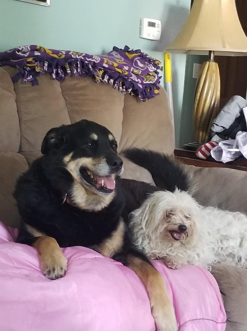 Sisters