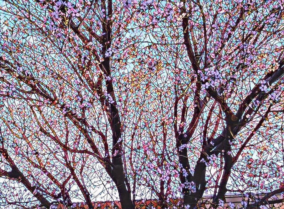 Why not?
Please brighten my feed! 😍 Post the 2nd photo from your phone, no matter what it is. (Just keep it clean) Have fun, play along. Then copy and paste this as your status with the number I give you! ♡
Seriously do