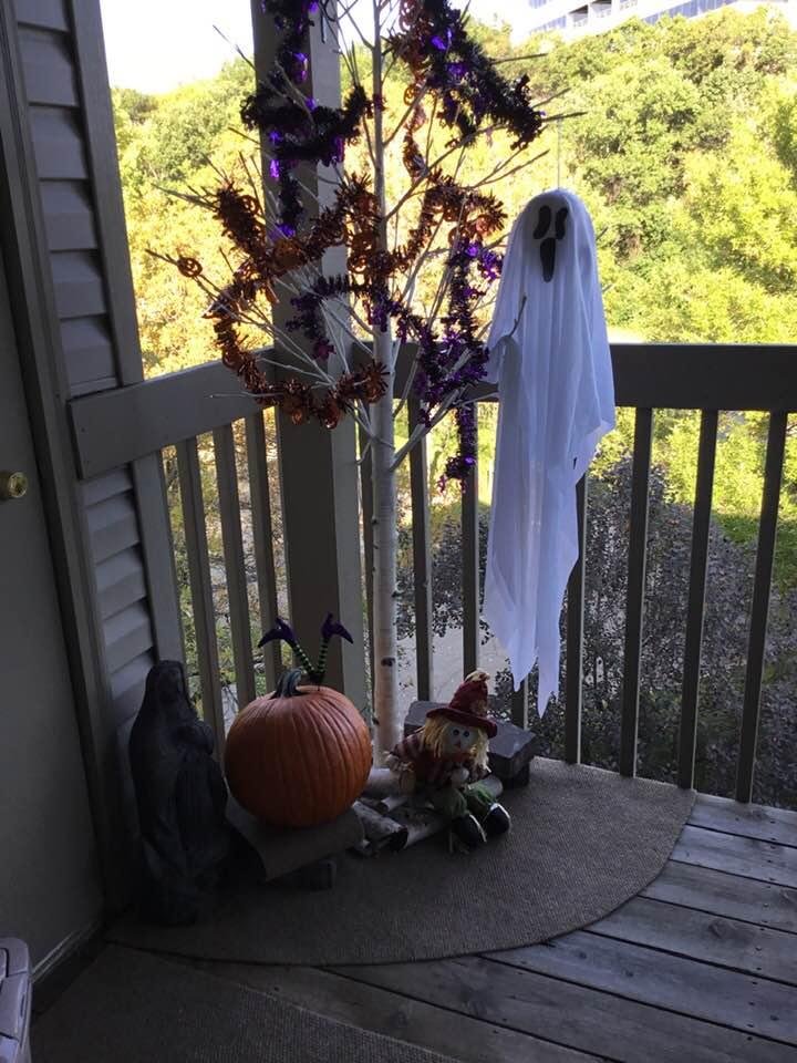 Boooo
Fall favorite time of the year❣️