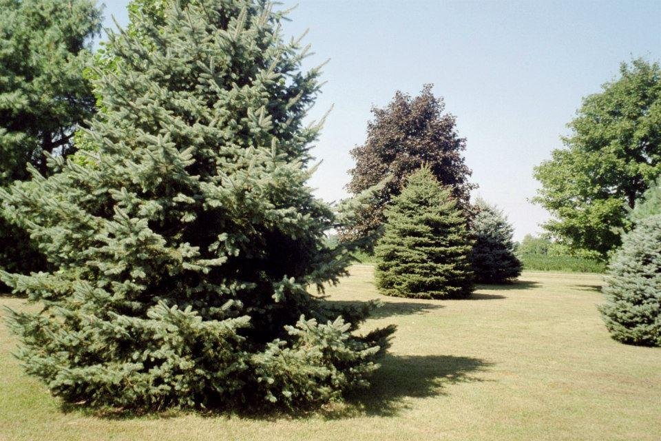 Tim Pertler's album, Middletown