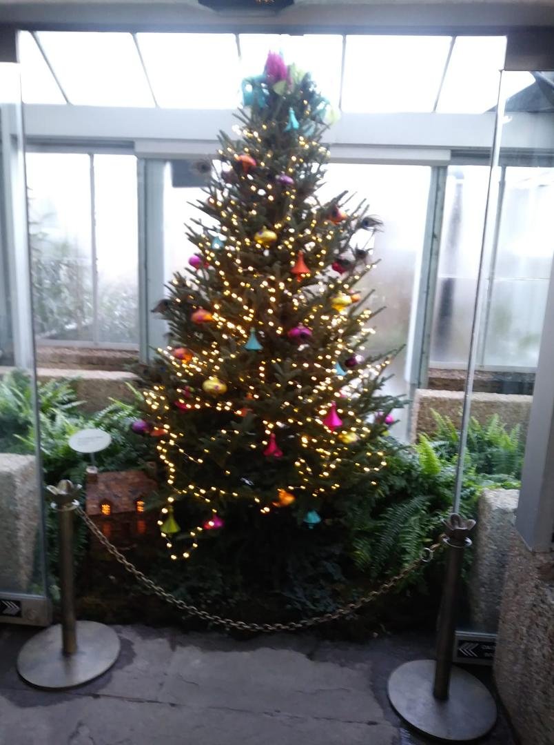 Botanic Gardens in DC