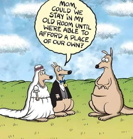 Robert Dillon's album, Timeline photos