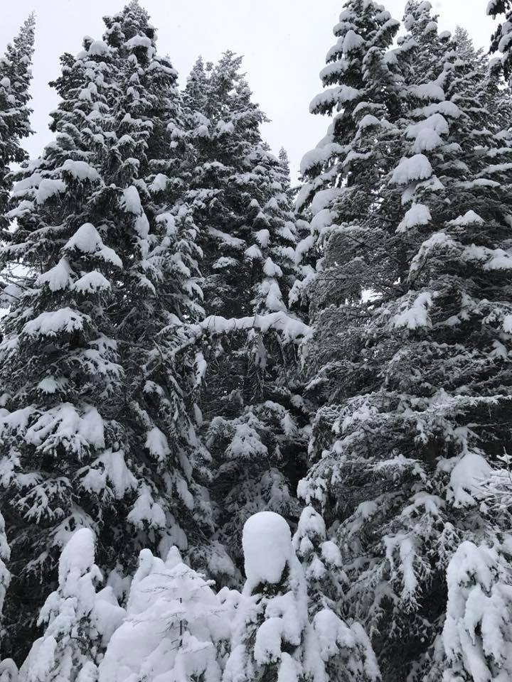 Hope this "Global Warming" is treating you right!