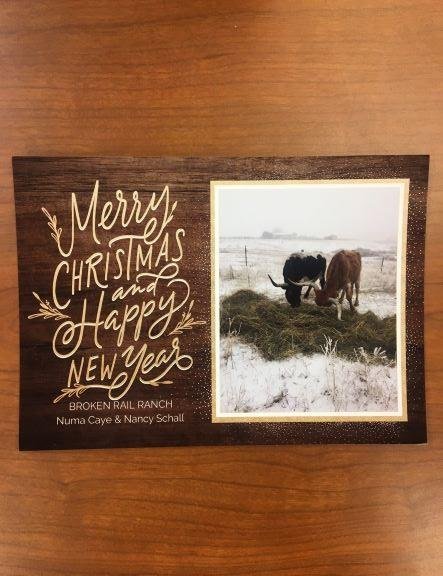 Nancy Schall's album, Timeline photos