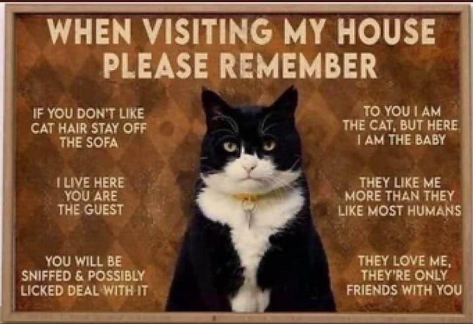 Kathryn Keegan's album, Timeline Photos