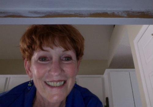 Nan Wallace's album, Webcam Photos