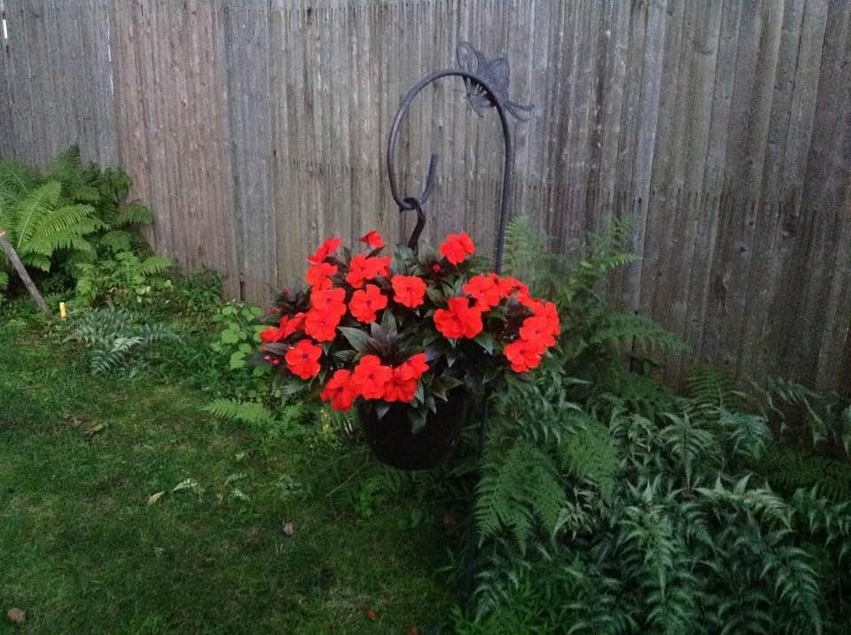 James Oitzinger's album, Timeline Photos