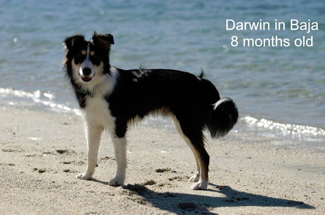 Tim Herrlinger's album, Timeline Photos