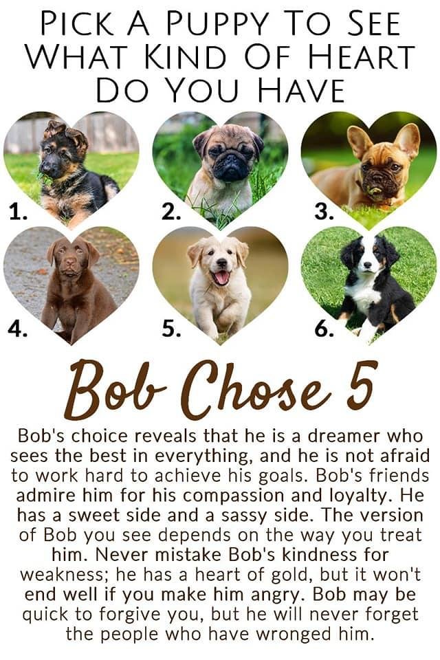 Bob Merrifield's album, Timeline photos