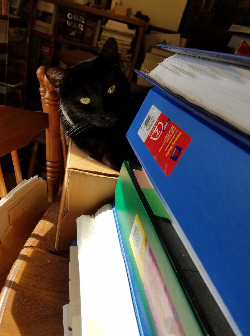 My assistant, Sylvester.