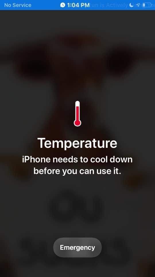My phone after my 3 mile walk