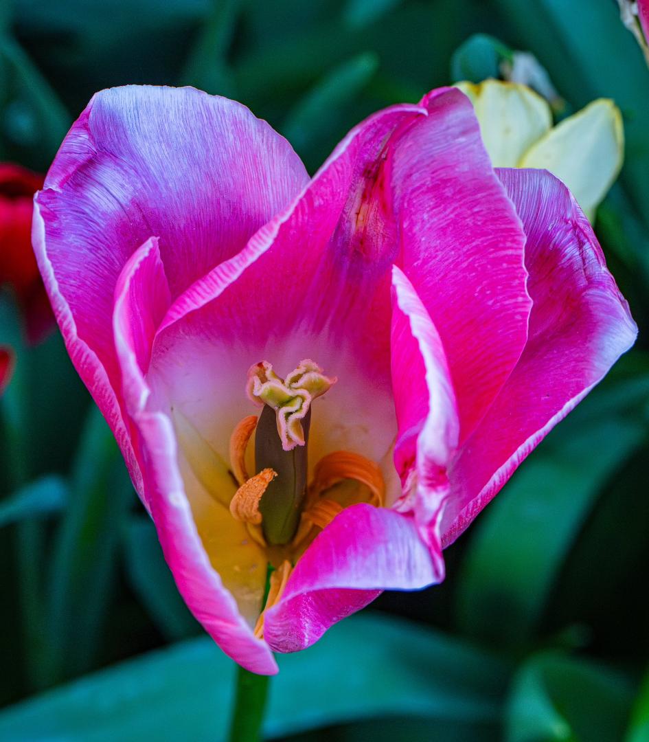 David Durkee's album, Mobile uploads