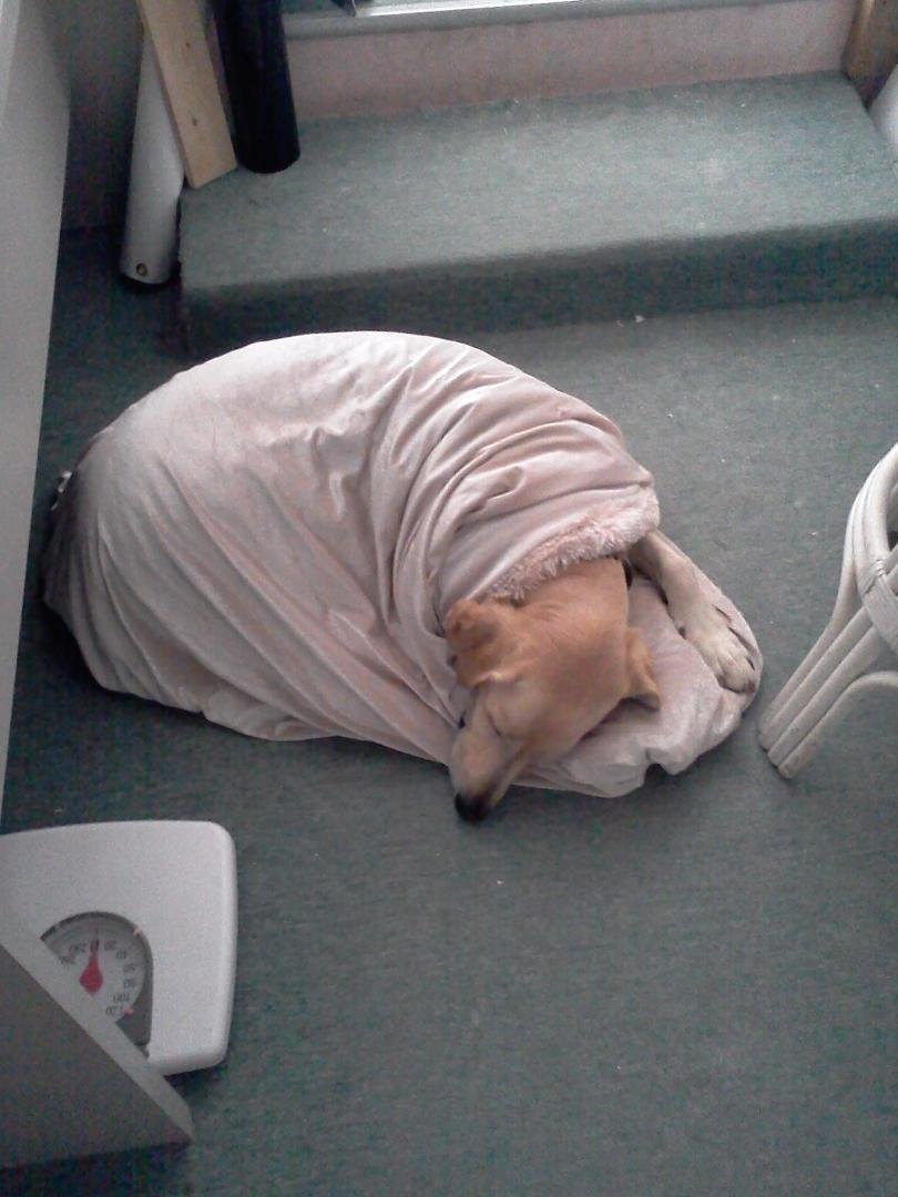 Cold at work.