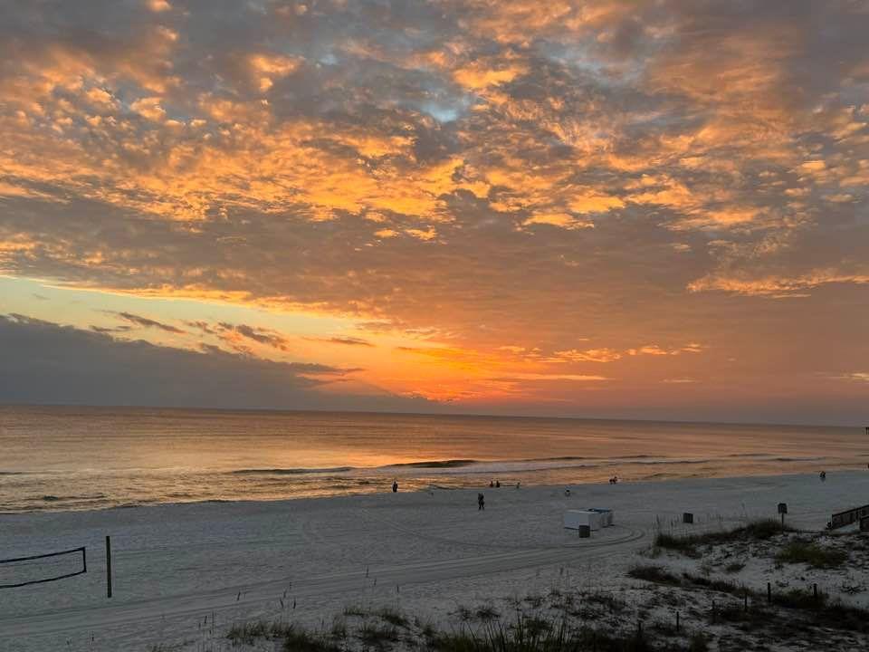 Diane Rasberry's album, Timeline photos