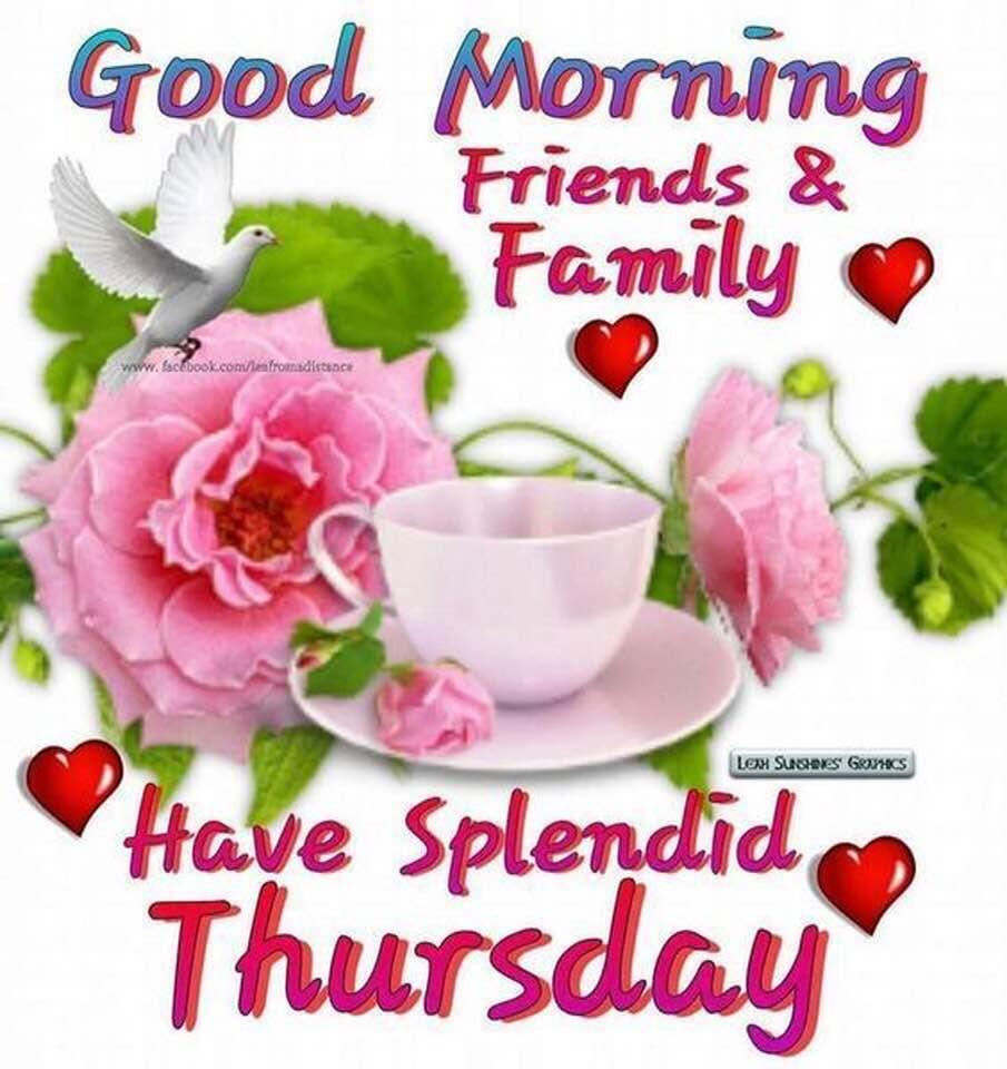 Marlene King's album, Timeline photos