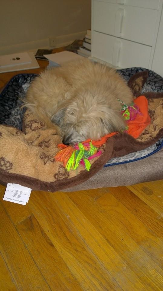 Caught in bed