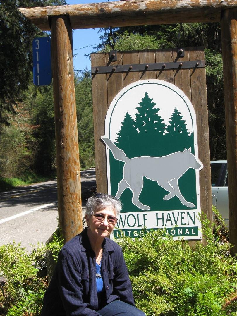 Judy and I spent part of our 31st wedding anniversary at Wolf Haven International in Tenino, Washington. Great place, great mission -- look it up wolfhaven.com, or Facebook. We also spent some time at Red Lobster.