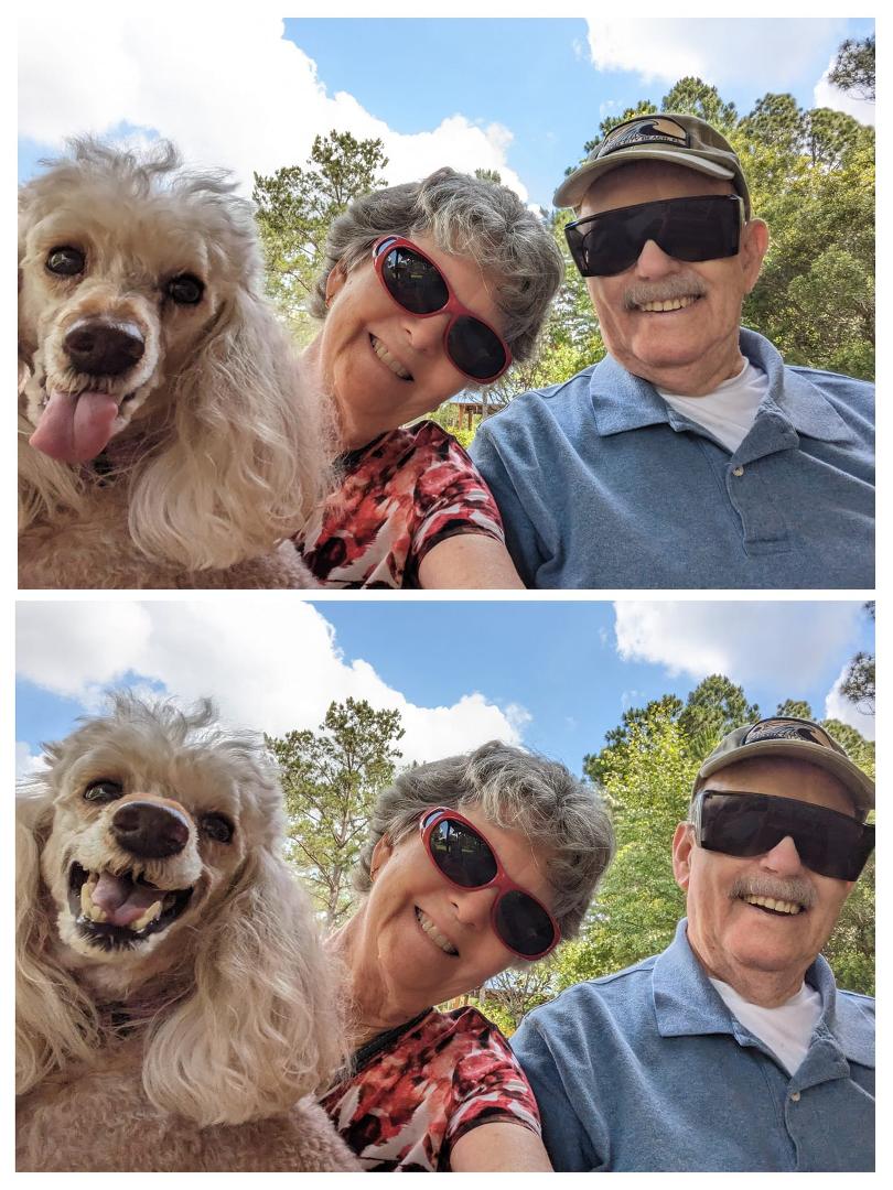 Happy Krystal dog on an adventure with Dad and Mom.