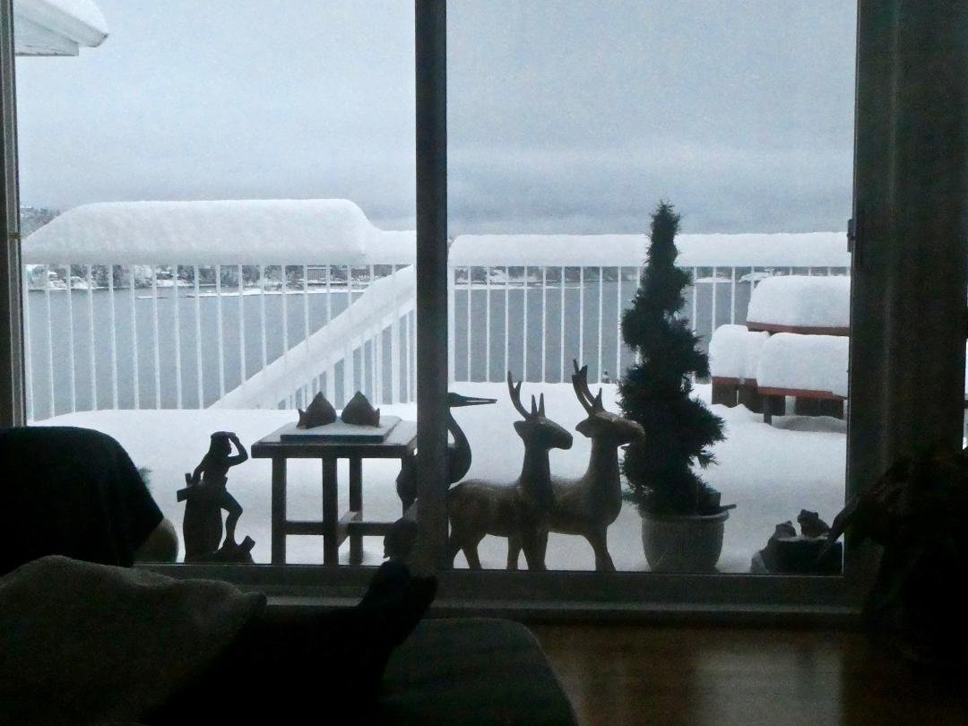 Family Room Deck