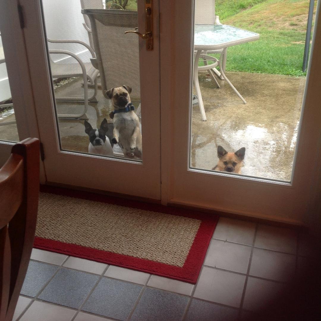 Babysitting my babies