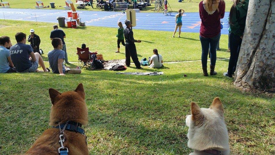 Track meet is right across street from my house.
