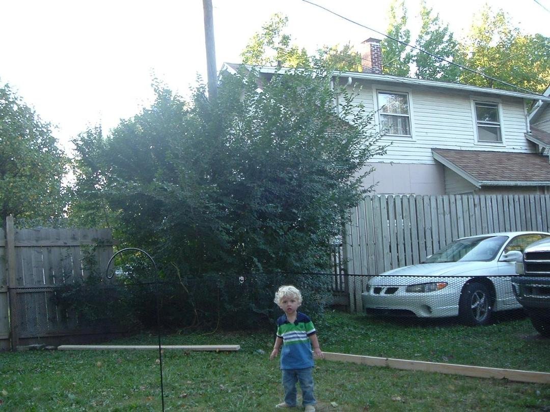 carl in back yard
