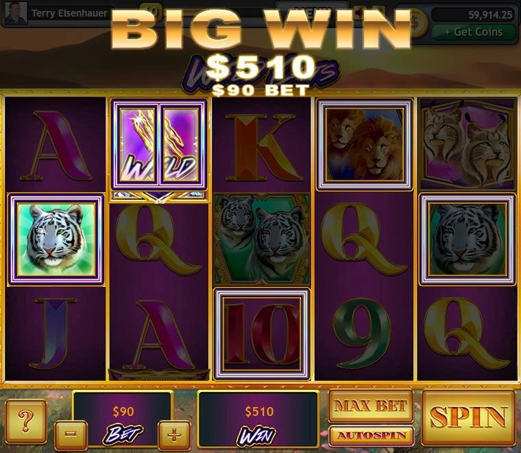 Terry Eisenhauer's album, Lucky Slots Photos