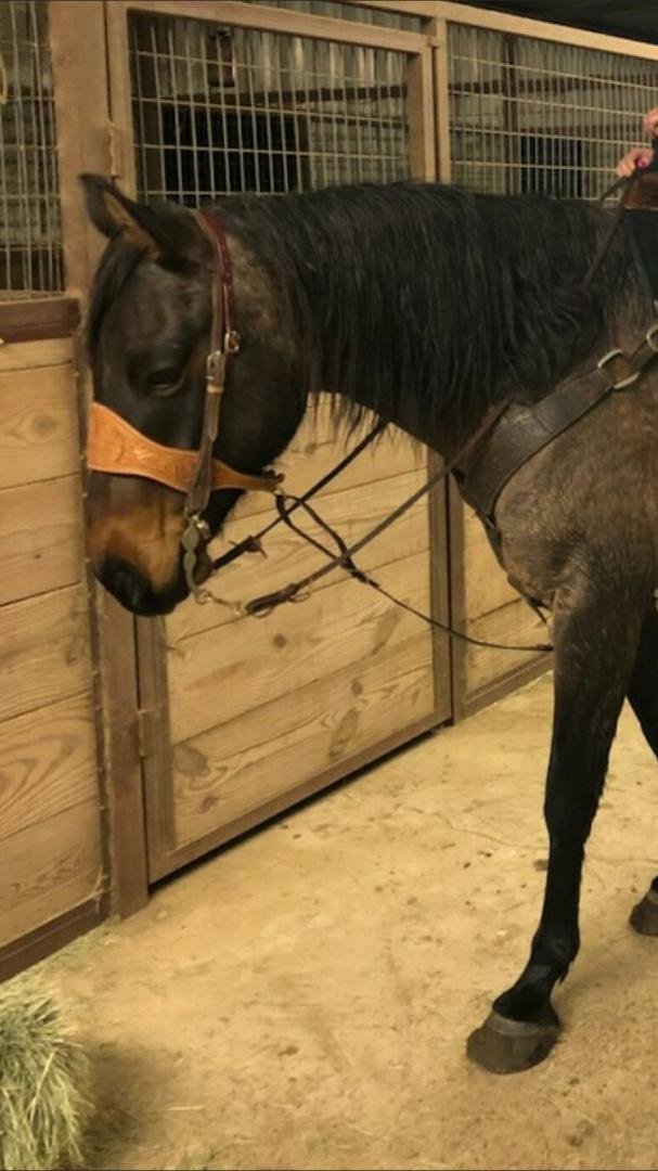 Pete has been riding my baby boy and started calling him Ozzy?? Don't know what Badger thinks about that.....he doesn't look happy in the picture. And I am wondering if Pete is wearing red finger nail polish or who is on m