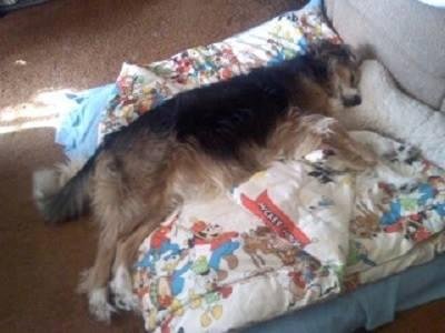 SADIE LOOKS LIKE SHE PARTIED TOO MUCH LAST NIGHT. LOL