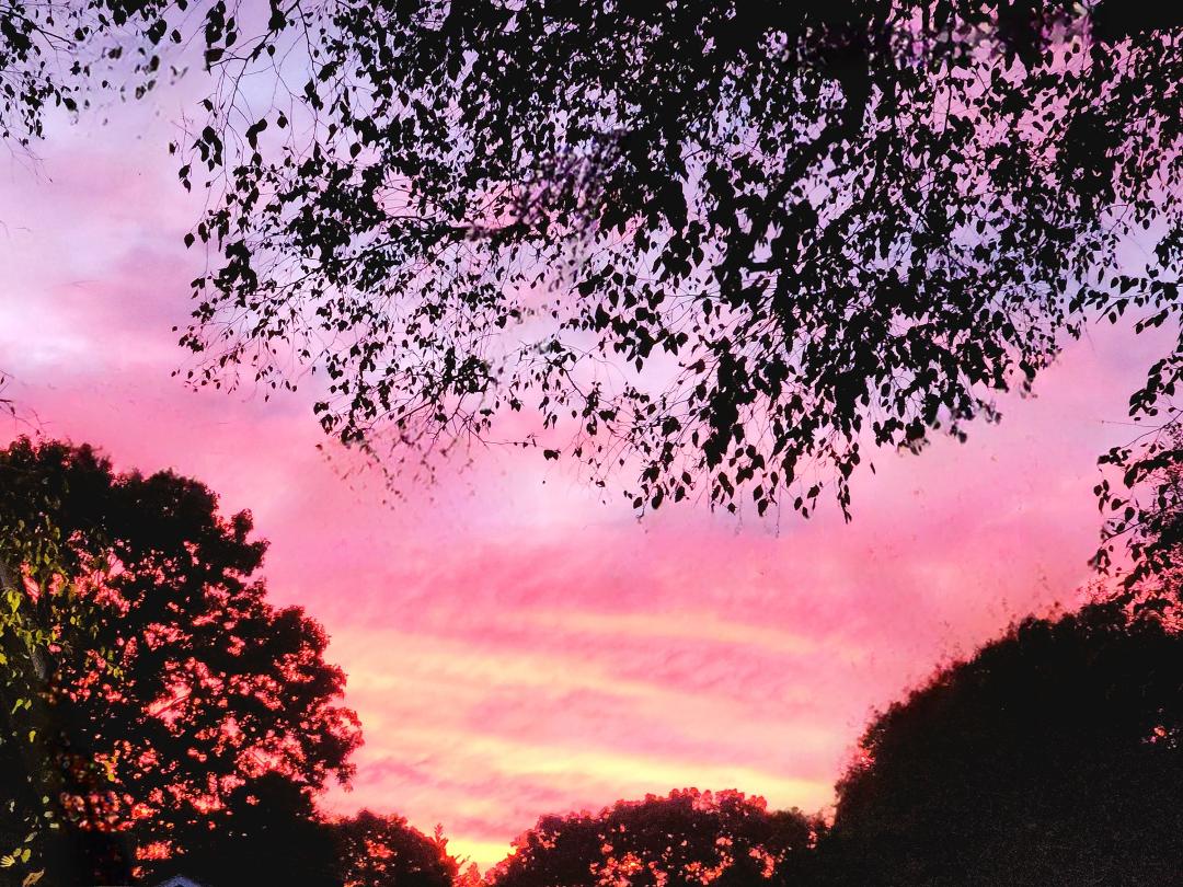 Tonight's Sunset