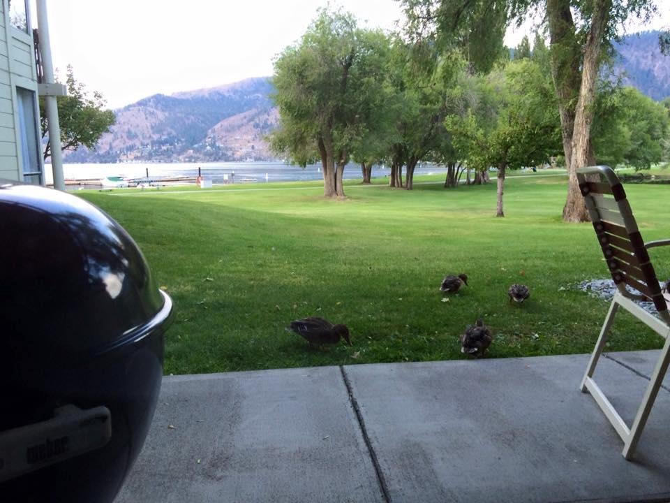 Breakfast with the neighbors