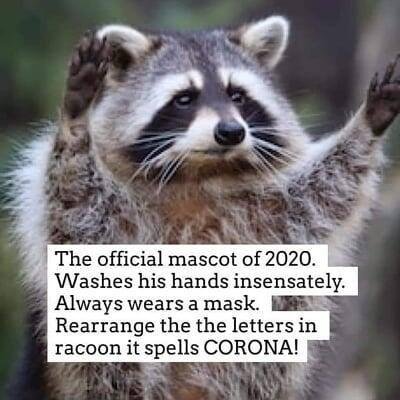 Joyce Berman's album, Timeline photos