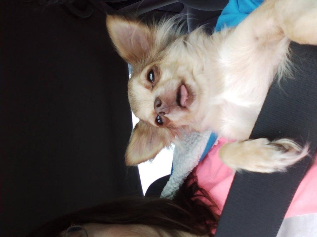 Chalupa thought she was going to ride in the ppl seatbelt.