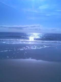 Beautiful day at the beach