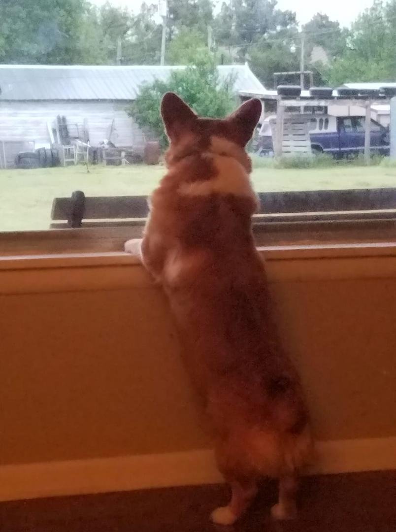 Quincy keeping an eye on the weather for us.
